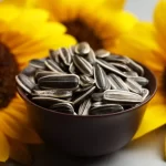 Girasol, crece la molienda en la Argentina en 2026
